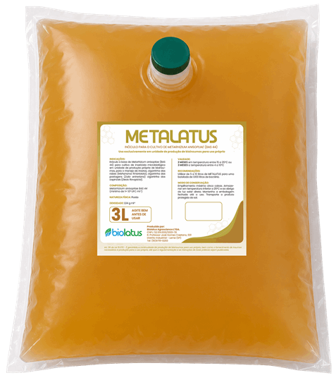 Inóculo inseticida microbiológico METALATUS Biolatus - Metarhizium anisopliae contra cigarrinha das pastagens e raiz